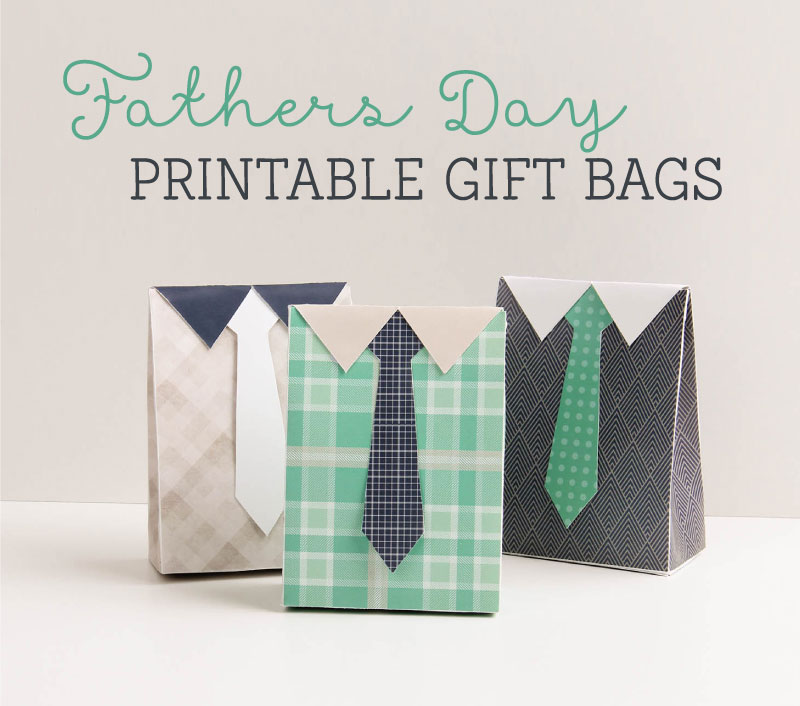 Free Printable Fathers Day Gift Bags | Tinyme Blog