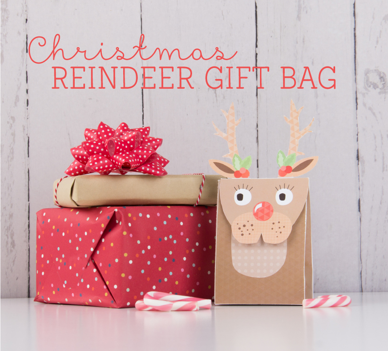 Free Reindeer Christmas Gift Bags - Tinyme Blog