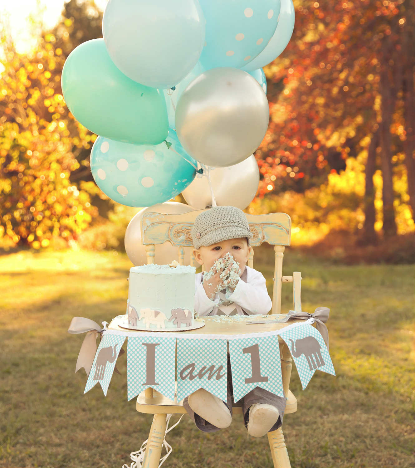 1st Birthday Picture Ideas