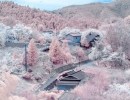 Nara Japan | 10 Amazing Places - Tinyme Blog