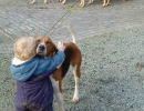 Cutest darn hugs | 10 Beautiful Baby - Dog Friendships - Tinyme Blog