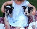 Sharing together | 10 Beautiful Baby - Dog Friendships - Tinyme Blog