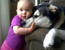 Pure love | 10 Beautiful Baby - Dog Friendships - Tinyme Blog