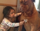 Pet check up | 10 Beautiful Baby - Dog Friendships - Tinyme Blog