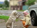 Best friends forever | 10 Beautiful Baby - Dog Friendships - Tinyme Blog