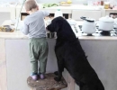 Cooking together | 10 Beautiful Baby - Dog Friendships - Tinyme Blog