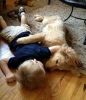 Slumber Party | 10 Beautiful Baby - Dog Friendships - Tinyme Blog