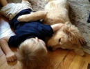 Slumber Party | 10 Beautiful Baby - Dog Friendships - Tinyme Blog