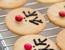 Amazingly creative reindeer cookies | 10 Christmas Cookies - Tinyme Blog