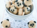 Delightful pandarons | 10 Clever Cookies Part 2 - Tinyme Blog