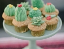 Cacti and succulent cupcakes | 10 Cute Cactus DIYs - Tinyme Blog