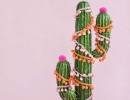 Adorable decorated cactus | 10 Cute Cactus DIYs - Tinyme Blog