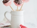 Chocolate Peppermint Marshmallow Pops | 10 Cute Cake Pops - Tinyme Blog
