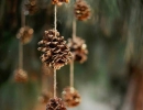 Cute hanging pinecone décor | 10 Cute Christmas Crafts - Tinyme Blog