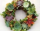 Delicate-looking succulent wreath | 10 DIY Christmas Wreaths - Tinyme Blog