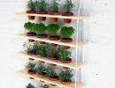 DIY stylish hanging garden | 10 DIY Vertical Gardens - Tinyme Blog
