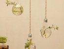 Hanging light bulb planter | 10 DIY Vertical Gardens - Tinyme Blog