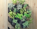 Make small works of art with recycled pots | 10 DIY Vertical Gardens - Tinyme Blog
