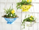 Convert a colander into a planter | 10 DIY Vertical Gardens - Tinyme Blog