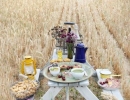 Countryside picnic | 10 Dreamy Picnic Set Ups - Tinyme Blog
