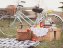 Picnic engagement shoot | 10 Dreamy Picnic Set Ups - Tinyme Blog