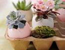 Plant an Egg | 10 Easter Egg Decorating Ideas - Tinyme Blog