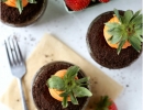 Cute Garden Carrot Cupcakes | - Tinyme Blog