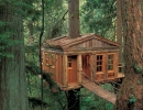 Temple of the Blue Moon treehouse | 10 Fun Tree Houses - Tinyme Blog