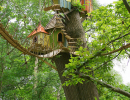 Bird Houses for Humans = amazing! | 10 Fun Tree Houses - Tinyme Blog