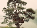 “The Treehouse” restaurant | 10 Fun Tree Houses - Tinyme Blog