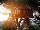 Cabin style treehouse | 10 Fun Tree Houses - Tinyme Blog