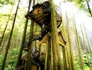 Spiralling treehouse | 10 Fun Tree Houses - Tinyme Blog