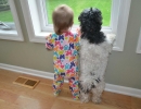 Too-cute window watching | 10 Funny Toddler Moments - Tinyme Blog