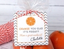 Sweet orange! | 10 Gift Ideas for Teachers - Tinyme Blog