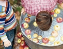 Bobbing for apples | 10 Kids Party Activities - Tinyme Blog