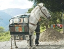 Donkey library | 10 Mobile Libraries - Tinyme Blog