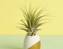 Adorable dipped pineapple ornament | 10 Playful Pineapple DIY's - Tinyme Blog