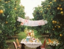 Intimate Orchard Setting | 10 Romantic Outdoor Settings - Tinyme Blog