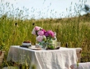Picnic Paradise | 10 Romantic Outdoor Settings - Tinyme Blog