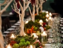 Long rustic table decorated thanksgiving “trees” | 10 Thanksgiving Table Settings - Tinyme Blog