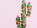Colorful pompoms Christmas tree cactus | 10 Unusual Christmas Trees - Tinyme Blog