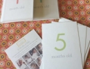 Adorable Baby Month cards | 10 Ways to Document your Baby's 1st Year - Tinyme Blog