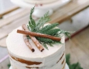 Organic rustic winter cake | 10 Wintery Christmas Cakes - Tinyme Blog