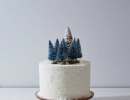 Absolutely stunning and magical | 10 Wintery Christmas Cakes - Tinyme Blog