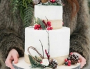 Woodsy dessert and winter berries | 10 Wintery Christmas Cakes - Tinyme Blog