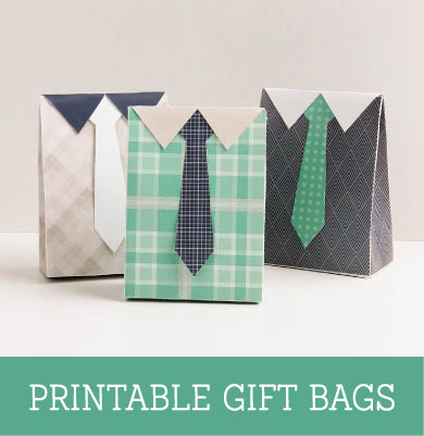 FREE Printable Gift Bags for Fathers Day ~ Tinyme