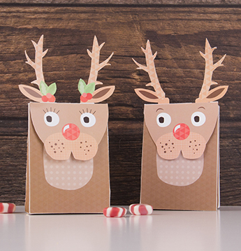 Reindeer Christmas Gift Bags