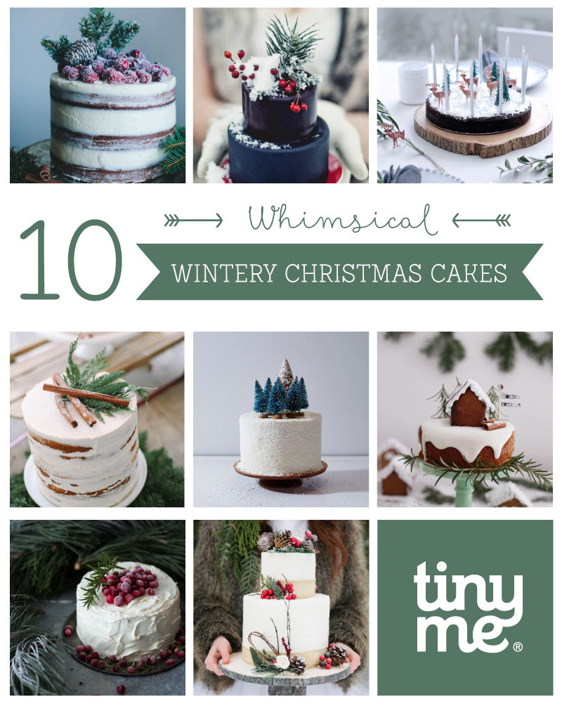 10 Wintery Christmas Cakes