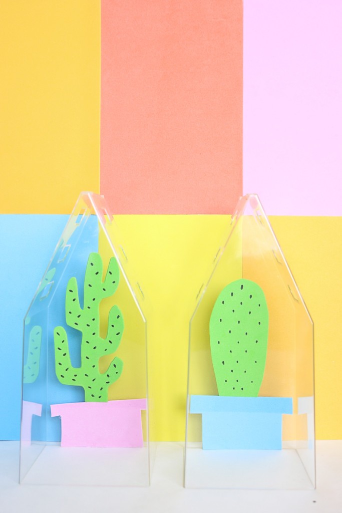 10 Cute Cactus Projects
